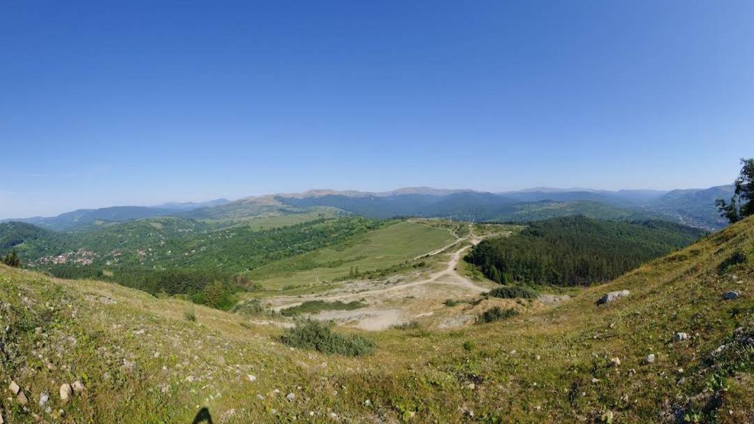 Casuta Din Livada Villa Secaria Buitenkant foto
