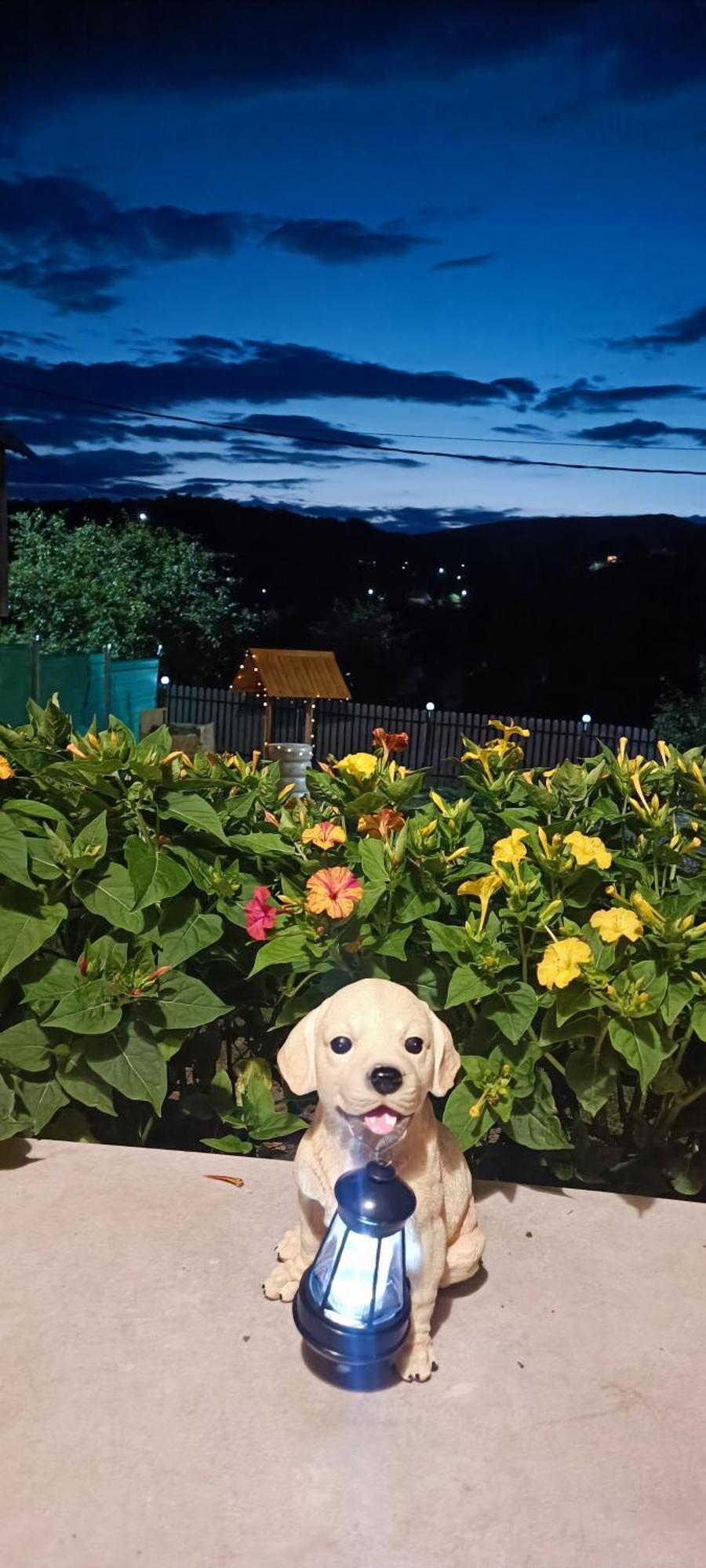 Casuta Din Livada Villa Secaria Buitenkant foto